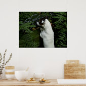 Capo von Oppenheim, Jack Russell Terrier dog Poster (Küche)