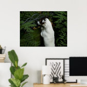 Capo von Oppenheim, Jack Russell Terrier dog Poster (Heimbüro)