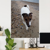 Capo von Oppenheim, Jack Russell Terrier dog Poster (Heimbüro)
