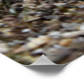 Capo von Oppenheim, Jack Russell Terrier dog Poster (Ecke)