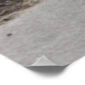 Capo von Oppenheim, Jack Russell Terrier dog Poster (Ecke)