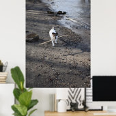 Capo von Oppenheim, Jack Russell Terrier dog Poster (Heimbüro)