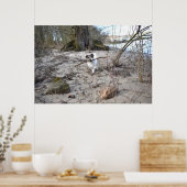 Capo von Oppenheim, Jack Russell Terrier Dog Poster (Küche)