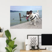 Capo von Oppenheim, Jack Russell Terrier Dog Poster (Heimbüro)
