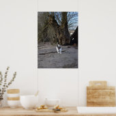 Capo von Oppenheim, Jack Russell Terrier Dog Poster (Küche)