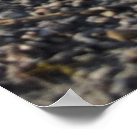 Capo von Oppenheim, Jack Russell Terrier dog Poster (Ecke)