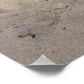 Capo von Oppenheim, Jack Russell Terrier dog Poster (Ecke)