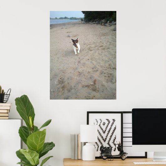 Capo von Oppenheim, Jack Russell Terrier dog Poster (Heimbüro)