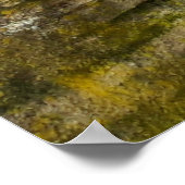 Capo von Oppenheim, Jack Russell Terrier dog Poster (Ecke)