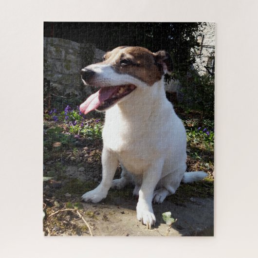 Capo von Oppenheim Jack Russell Terrier, Dog Puzzle (Vertikal)