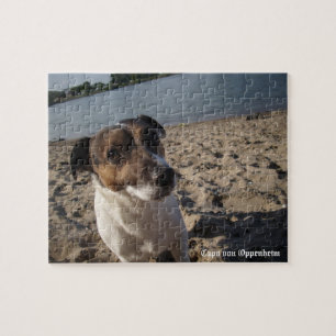 Capo von Oppenheim, Jack Russell Terrier Dog Puzzle