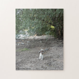 Capo von Oppenheim Jack Russell Terrier, Dog Puzzle