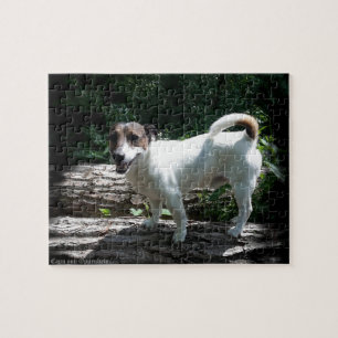 Capo von Oppenheim Jack Russell Terrier, Dog Puzzle