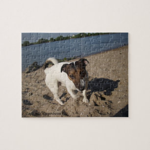 Capo von Oppenheim, Jack Russell Terrier Dog Puzzle