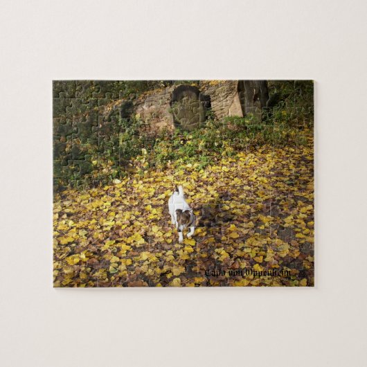 Capo von Oppenheim, Jack Russell Terrier Dog Puzzle (Horizontal)