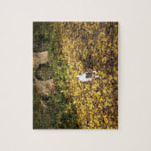 Capo von Oppenheim, Jack Russell Terrier Dog Puzzle (Vertikal)