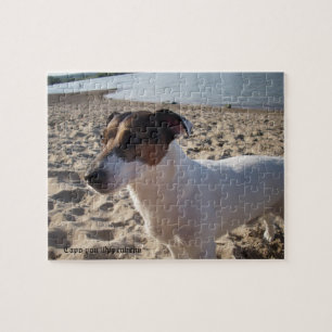 Capo von Oppenheim, Jack Russell Terrier Dog Puzzle