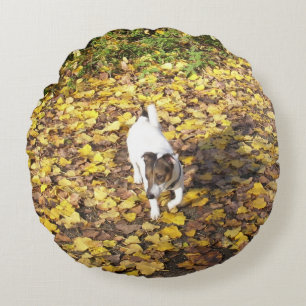 Capo von Oppenheim Jack Russell Terrier, Dog Rundes Kissen