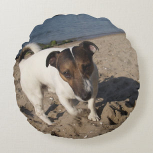 Capo von Oppenheim Jack Russell Terrier, Dog Rundes Kissen