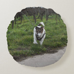 Capo von Oppenheim Jack Russell Terrier, Dog Rundes Kissen