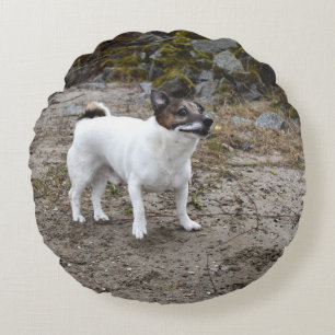 Capo von Oppenheim Jack Russell Terrier, Dog Rundes Kissen