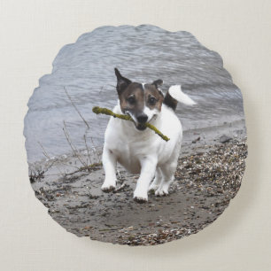Capo von Oppenheim Jack Russell Terrier, Dog Rundes Kissen