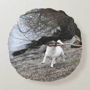 Capo von Oppenheim Jack Russell Terrier, Dog Rundes Kissen