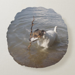 Capo von Oppenheim Jack Russell Terrier, Dog Rundes Kissen