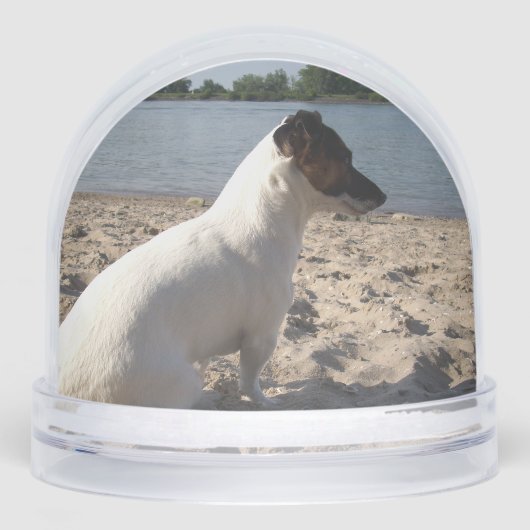 Capo von Oppenheim, Jack Russell Terrier Dog Schneekugeln (Vorderseite)