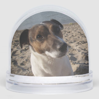 Capo von Oppenheim, Jack Russell Terrier Dog Schneekugeln