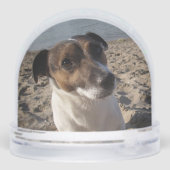 Capo von Oppenheim, Jack Russell Terrier Dog Schneekugeln (Rückseite)