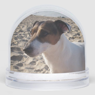 Capo von Oppenheim, Jack Russell Terrier Dog Schneekugeln
