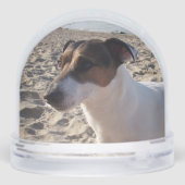 Capo von Oppenheim, Jack Russell Terrier Dog Schneekugeln (Rückseite)