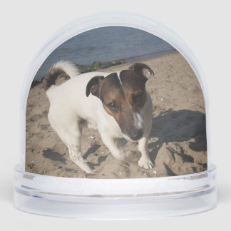 Capo von Oppenheim, Jack Russell Terrier Dog Schneekugeln
