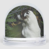 Capo von Oppenheim, Jack Russell Terrier Dog Schneekugeln (Rückseite)