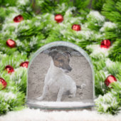 Capo von Oppenheim, Jack Russell Terrier Dog Schneekugeln (Weihnachten)