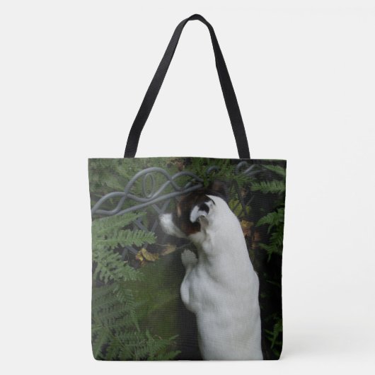 Capo von Oppenheim Jack Russell Terrier, Dog Tasche (Vorderseite)