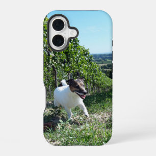 Capo von Oppenheim Jack Russell Terrier, Hund iPhone 16 Hülle