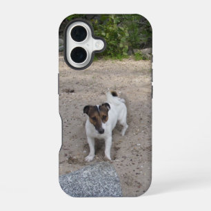 Capo von Oppenheim Jack Russell Terrier, Hund iPhone 16 Hülle