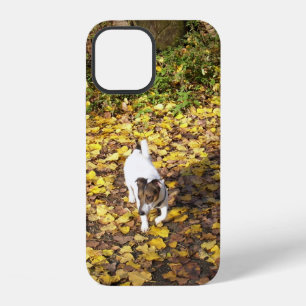 Capo von Oppenheim, Jack Russell Terrier Hund iPhone 12 Hülle