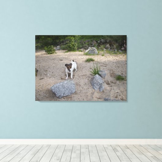 Capo von Oppenheim, Jack Russell Terrier, Hund Leinwanddruck (Insitu (Holzboden))