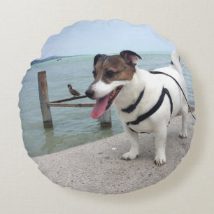 Capo von Oppenheim Jack Russell Terrier, Hunde-Run Rundes Kissen