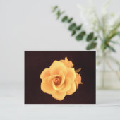 Capodimonte Rose Postcard. Postkarte (Stehend Vorderseite)
