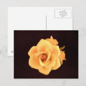 Capodimonte Rose Postcard. Postkarte (Vorne/Hinten)
