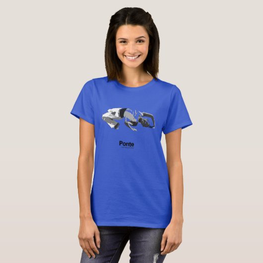 Capoeira Bewegungen, ponte T-Shirt (Vorne ganz)