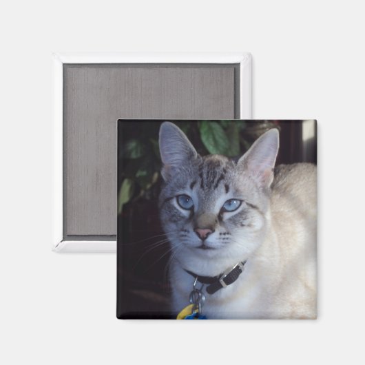 Cappuccino Magnet (Vorderseite/Rückseite)