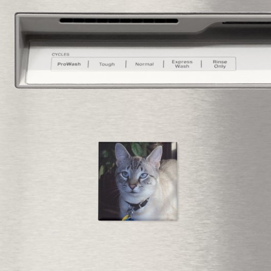 Cappuccino Magnet (In Situ (Geschirrspüler))