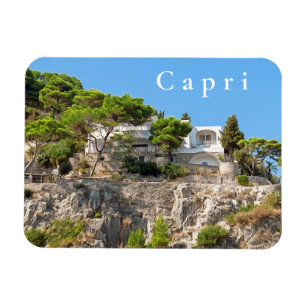 Capri. #10. magnet