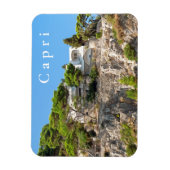 Capri. #10. magnet (Vertikal)