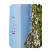 Capri. 3 magnet (Vertikal)